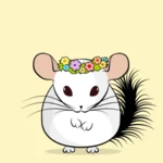 Logo of MyChinchilla android Application 